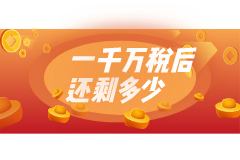 公司一年利润1000万，到手能有多少钱