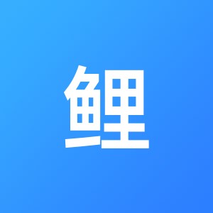 安庆锦鲤财务咨询有限公司