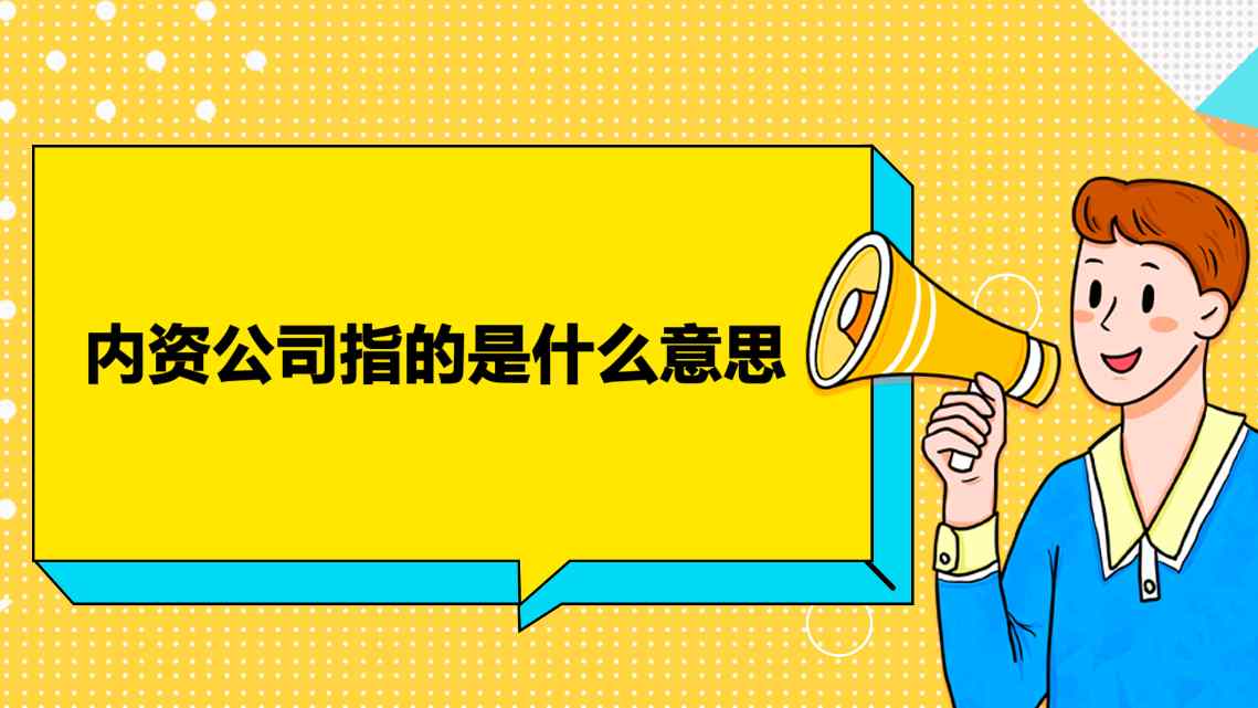 内资公司指的是什么意思