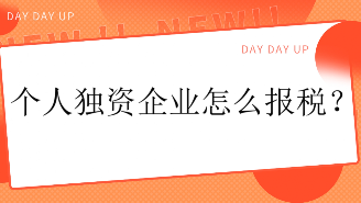 个人独资企业怎么报税