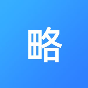 上海胜略财务咨询有限公司